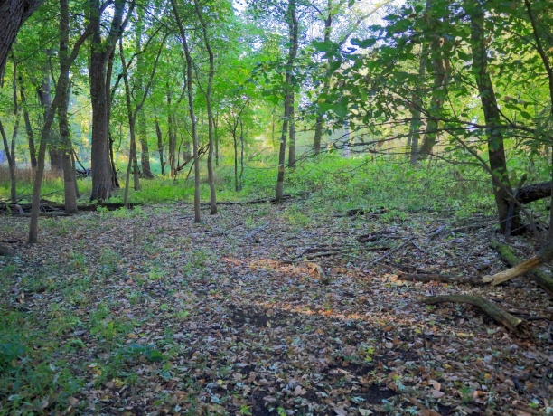 000 US BYPASS 20, FREEPORT, Illinois 61032, ,Land,For Sale,US BYPASS 20,202506331