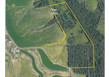 TBD Thoren, STOCKTON, Illinois 61085, ,Land,For Sale,Thoren,202506351