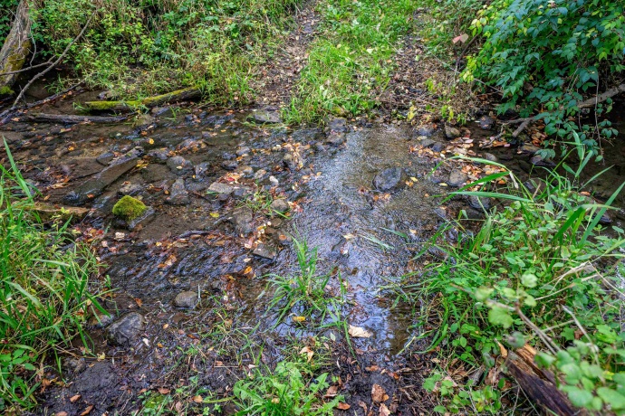 10477 (80 AC) Telegraph, WINNEBAGO, Illinois 61088, 4 Bedrooms Bedrooms, ,3 BathroomsBathrooms,House,For Sale,Telegraph,202506464