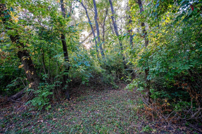 10477 (80 AC) Telegraph, WINNEBAGO, Illinois 61088, 4 Bedrooms Bedrooms, ,3 BathroomsBathrooms,House,For Sale,Telegraph,202506464