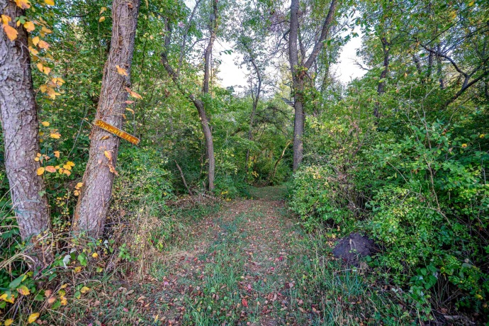 10477 (80 AC) Telegraph, WINNEBAGO, Illinois 61088, 4 Bedrooms Bedrooms, ,3 BathroomsBathrooms,House,For Sale,Telegraph,202506464