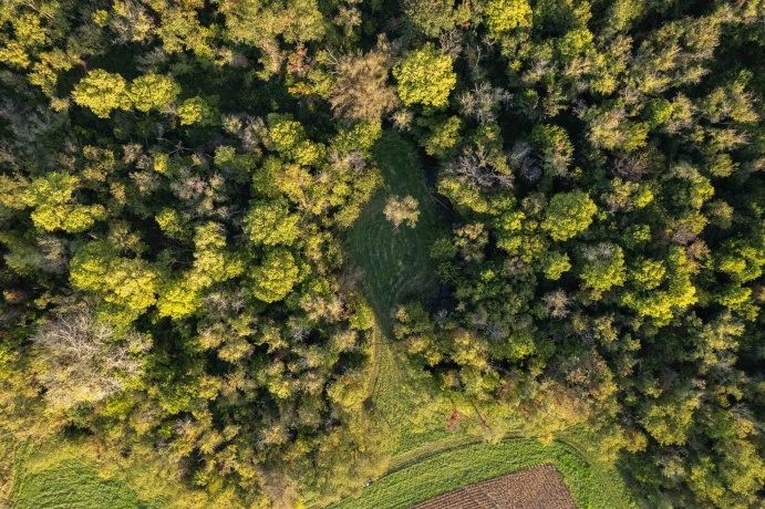 10477 (80 AC) Telegraph, WINNEBAGO, Illinois 61088, 4 Bedrooms Bedrooms, ,3 BathroomsBathrooms,House,For Sale,Telegraph,202506464