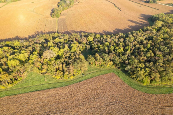 10477 (80 AC) Telegraph, WINNEBAGO, Illinois 61088, 4 Bedrooms Bedrooms, ,3 BathroomsBathrooms,House,For Sale,Telegraph,202506464