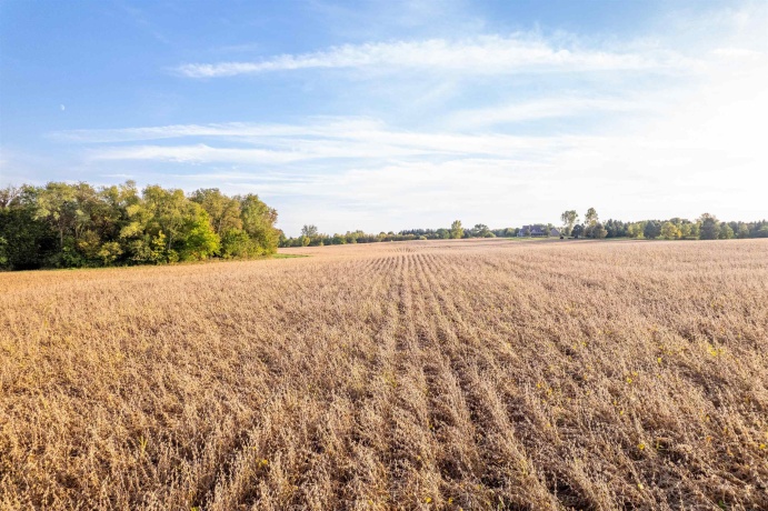 10477 (80 AC) Telegraph, WINNEBAGO, Illinois 61088, 4 Bedrooms Bedrooms, ,3 BathroomsBathrooms,House,For Sale,Telegraph,202506464