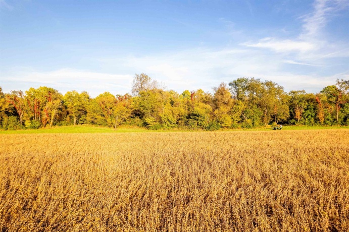 10477 (80 AC) Telegraph, WINNEBAGO, Illinois 61088, 4 Bedrooms Bedrooms, ,3 BathroomsBathrooms,House,For Sale,Telegraph,202506464