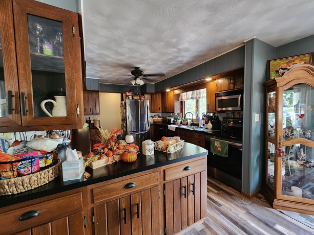 205 IL Rte 64, LANARK, Illinois 61046, 3 Bedrooms Bedrooms, ,2 BathroomsBathrooms,House,For Sale,IL Rte 64,202506486