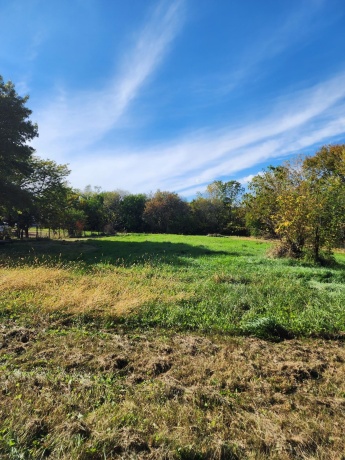 205 IL Rte 64, LANARK, Illinois 61046, 3 Bedrooms Bedrooms, ,2 BathroomsBathrooms,House,For Sale,IL Rte 64,202506486