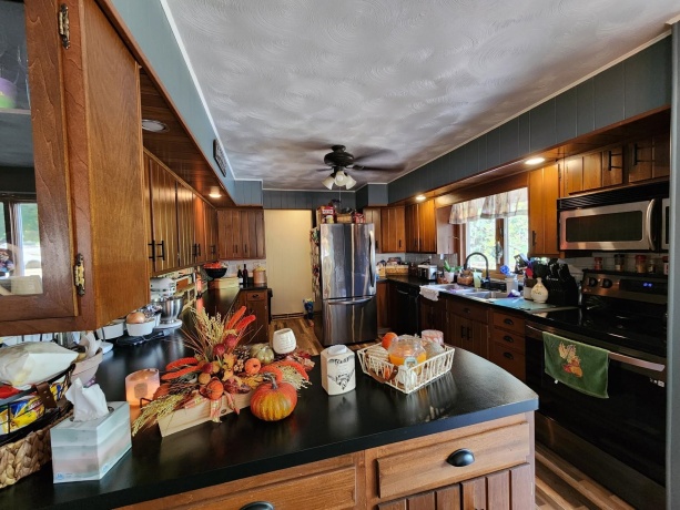 205 IL Rte 64, LANARK, Illinois 61046, 3 Bedrooms Bedrooms, ,2 BathroomsBathrooms,House,For Sale,IL Rte 64,202506486