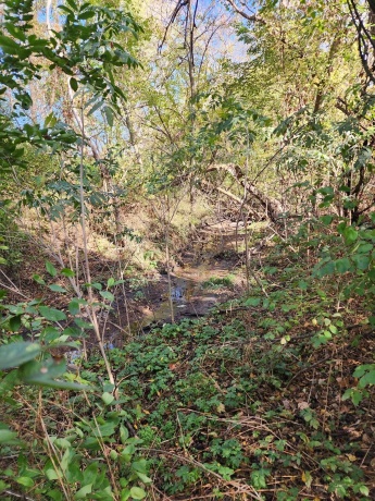 205 IL Rte 64, LANARK, Illinois 61046, 3 Bedrooms Bedrooms, ,2 BathroomsBathrooms,House,For Sale,IL Rte 64,202506486