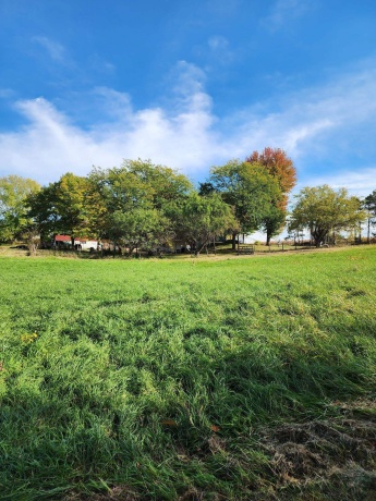 205 IL Rte 64, LANARK, Illinois 61046, 3 Bedrooms Bedrooms, ,2 BathroomsBathrooms,House,For Sale,IL Rte 64,202506486