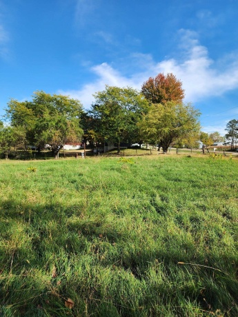 205 IL Rte 64, LANARK, Illinois 61046, 3 Bedrooms Bedrooms, ,2 BathroomsBathrooms,House,For Sale,IL Rte 64,202506486