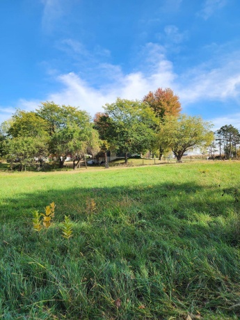 205 IL Rte 64, LANARK, Illinois 61046, 3 Bedrooms Bedrooms, ,2 BathroomsBathrooms,House,For Sale,IL Rte 64,202506486