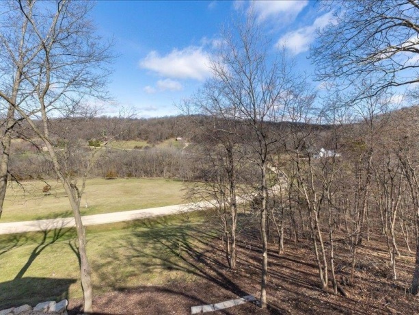 74 Shenandoah, GALENA, Illinois 61036, 4 Bedrooms Bedrooms, ,5 BathroomsBathrooms,House,For Sale,Shenandoah,202401722