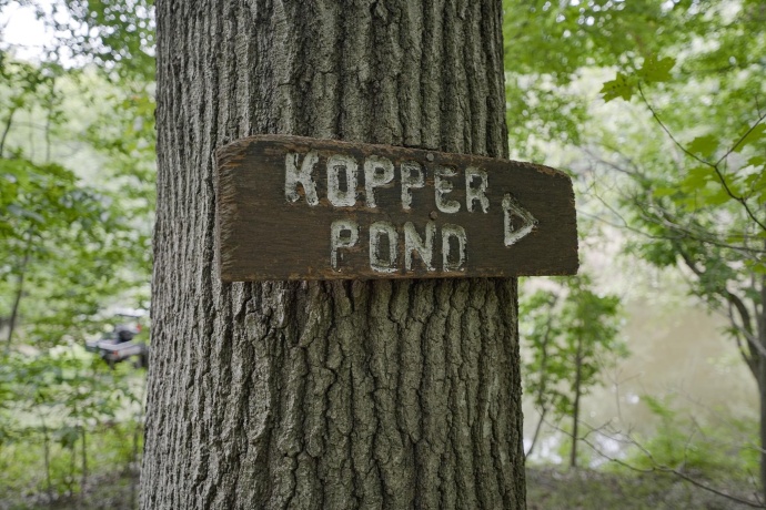 4820 Kopper Pond Rd., HANOVER, Illinois 61041, ,Land,For Sale,Kopper Pond Rd.,202506512