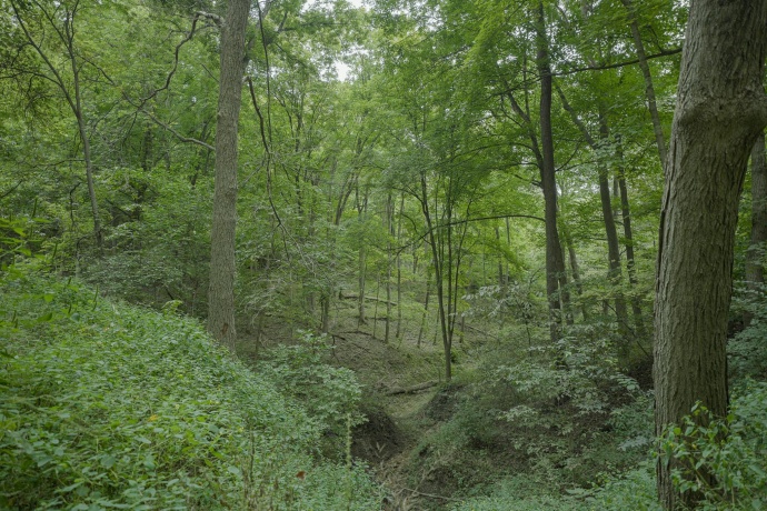 4820 Kopper Pond Rd., HANOVER, Illinois 61041, ,Land,For Sale,Kopper Pond Rd.,202506512