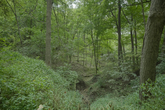 4820 Kopper Pond Rd., HANOVER, Illinois 61041, ,Land,For Sale,Kopper Pond Rd.,202506512