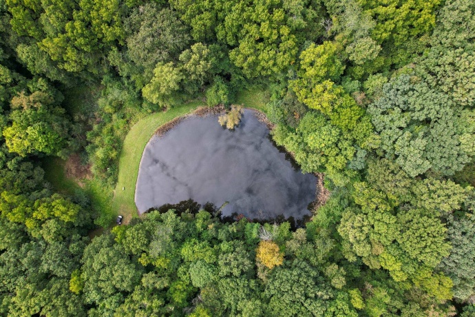 4820 Kopper Pond Rd., HANOVER, Illinois 61041, ,Land,For Sale,Kopper Pond Rd.,202506512