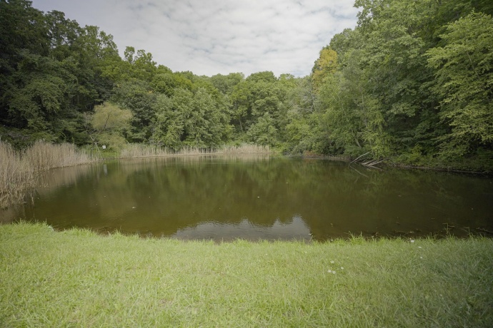 4820 Kopper Pond Rd., HANOVER, Illinois 61041, ,Land,For Sale,Kopper Pond Rd.,202506512