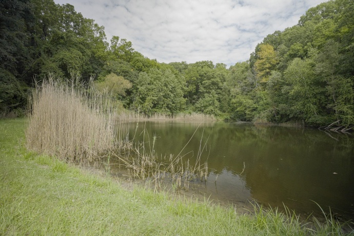 4820 Kopper Pond Rd., HANOVER, Illinois 61041, ,Land,For Sale,Kopper Pond Rd.,202506512