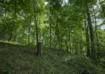 4820 Kopper Pond Rd., HANOVER, Illinois 61041, ,Land,For Sale,Kopper Pond Rd.,202506512