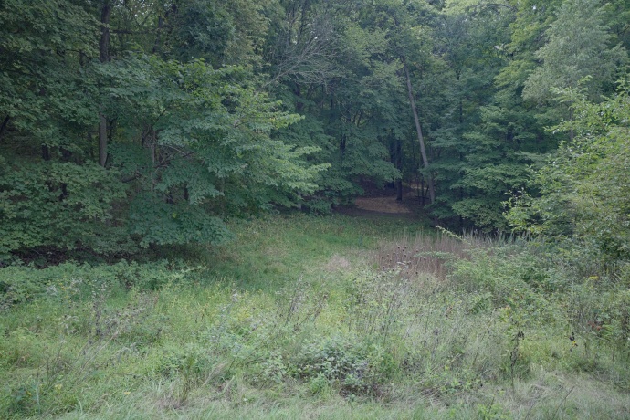 4820 Kopper Pond Rd., HANOVER, Illinois 61041, ,Land,For Sale,Kopper Pond Rd.,202506512