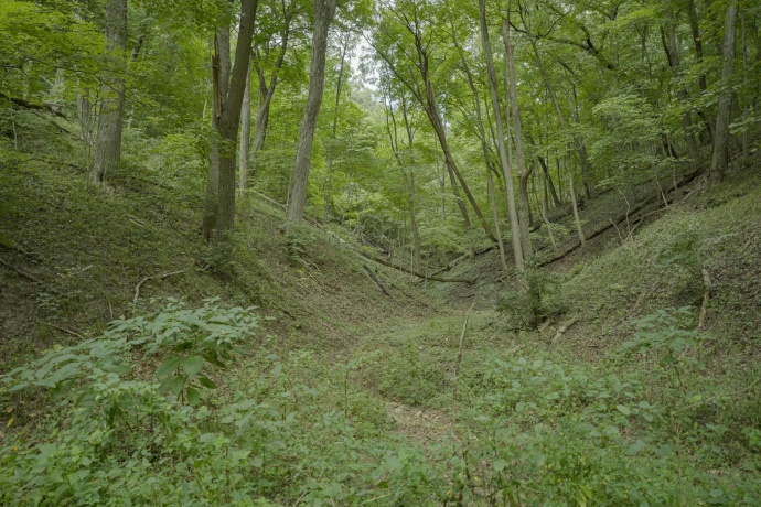 4820 Kopper Pond Rd., HANOVER, Illinois 61041, ,Land,For Sale,Kopper Pond Rd.,202506512