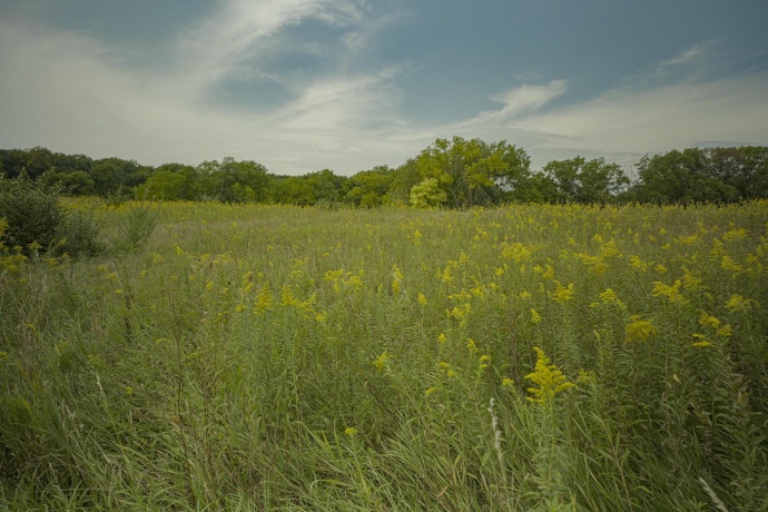 4820 Kopper Pond Rd., HANOVER, Illinois 61041, ,Land,For Sale,Kopper Pond Rd.,202506512