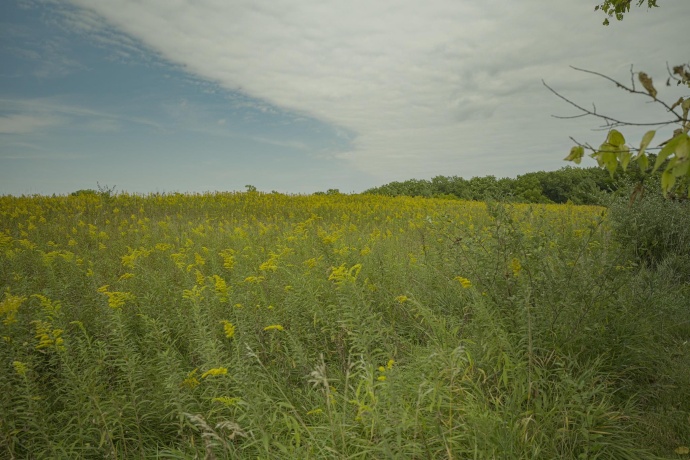 4820 Kopper Pond Rd., HANOVER, Illinois 61041, ,Land,For Sale,Kopper Pond Rd.,202506512