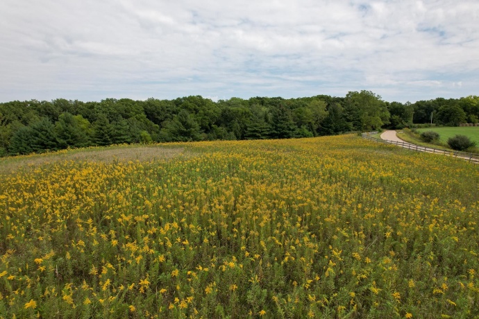 4820 Kopper Pond Rd., HANOVER, Illinois 61041, ,Land,For Sale,Kopper Pond Rd.,202506512