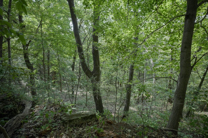 4820 Kopper Pond Rd., HANOVER, Illinois 61041, ,Land,For Sale,Kopper Pond Rd.,202506512