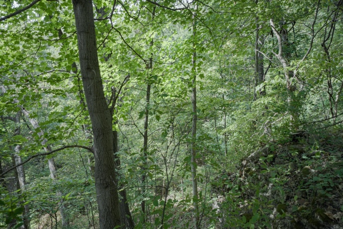 4820 Kopper Pond Rd., HANOVER, Illinois 61041, ,Land,For Sale,Kopper Pond Rd.,202506512