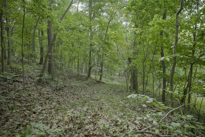 4820 Kopper Pond Rd., HANOVER, Illinois 61041, ,Land,For Sale,Kopper Pond Rd.,202506512