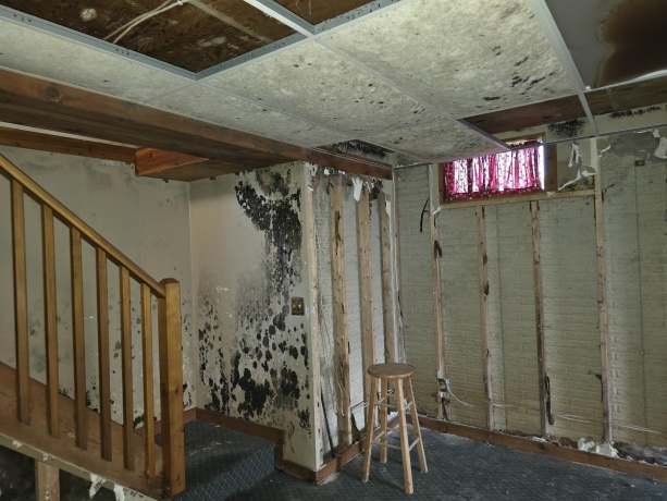 6A105 Appomattox, APPLE CANYON LAKE, Illinois 61001, 2 Bedrooms Bedrooms, ,1 BathroomBathrooms,House,For Sale,Appomattox,202505793