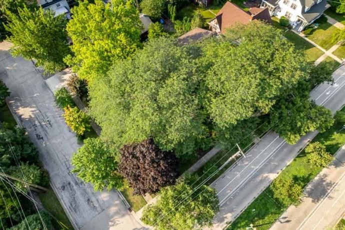 1308 HARLEM, ROCKFORD, Illinois 61103, 6 Bedrooms Bedrooms, ,2 BathroomsBathrooms,House,For Sale,HARLEM,202504912