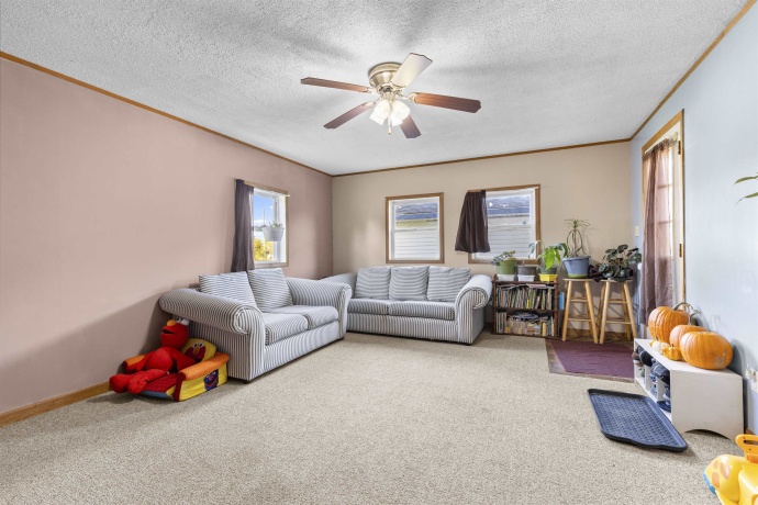 411 WALNUT, FORRESTON, Illinois 61030, 4 Bedrooms Bedrooms, ,1 BathroomBathrooms,House,For Sale,WALNUT,202506542