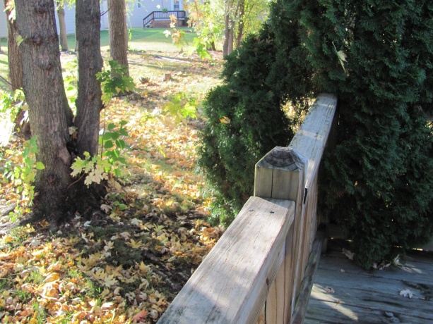 5383 Mahogany, ROSCOE, Illinois 61073, 3 Bedrooms Bedrooms, ,2 BathroomsBathrooms,House,For Sale,Mahogany,202506548