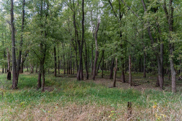 3537 3577 Iris Hill, FREEPORT, Illinois 61032, ,Land,For Sale,Iris Hill,202506556
