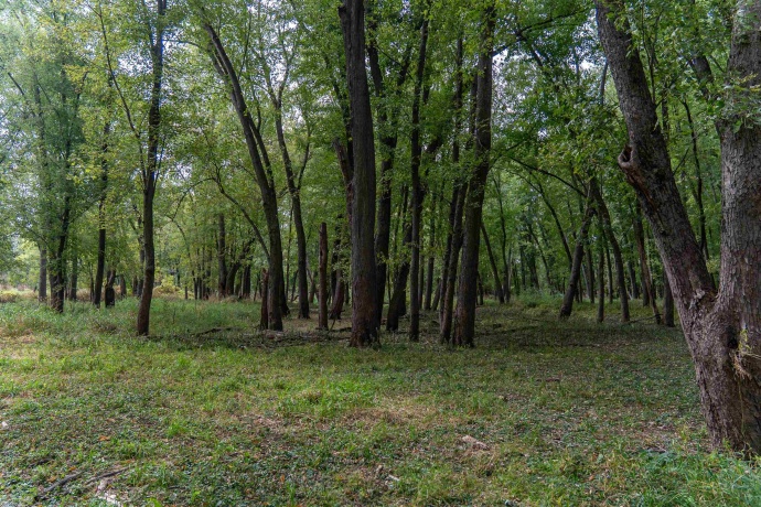 3537 3577 Iris Hill, FREEPORT, Illinois 61032, ,Land,For Sale,Iris Hill,202506556