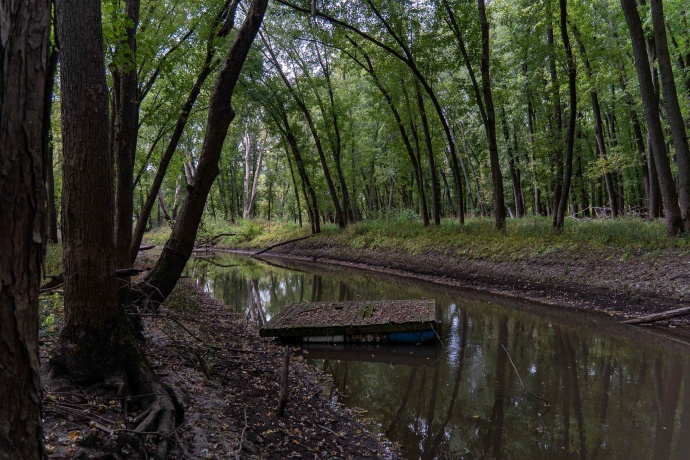 3537 3577 Iris Hill, FREEPORT, Illinois 61032, ,Land,For Sale,Iris Hill,202506556