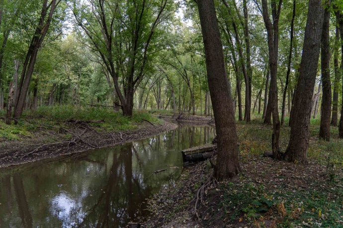 3537 3577 Iris Hill, FREEPORT, Illinois 61032, ,Land,For Sale,Iris Hill,202506556