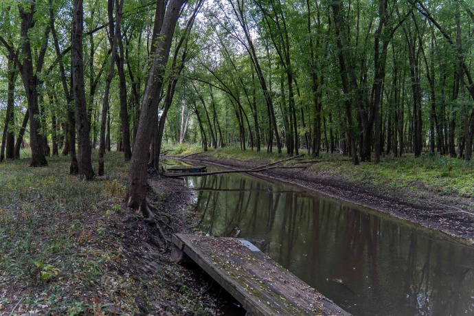 3537 3577 Iris Hill, FREEPORT, Illinois 61032, ,Land,For Sale,Iris Hill,202506556