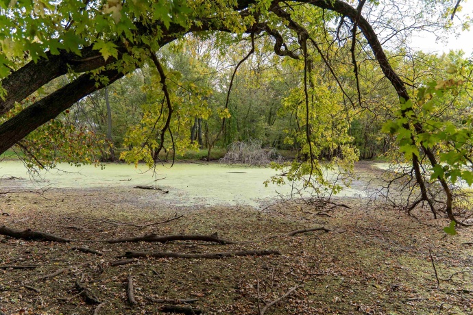 3537 3577 Iris Hill, FREEPORT, Illinois 61032, ,Land,For Sale,Iris Hill,202506556