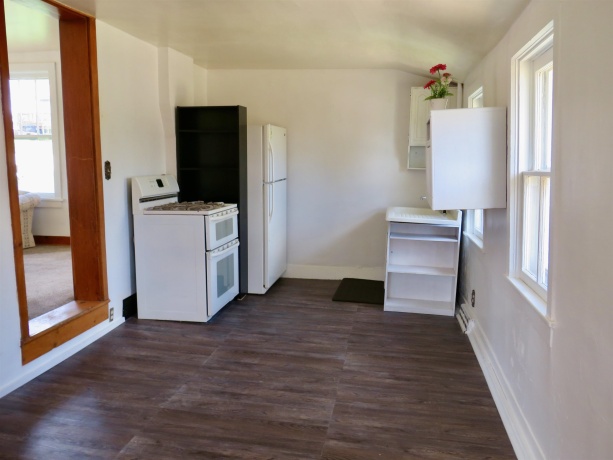 236 Hickory Street, GALENA, Illinois 61036, 1 Bedroom Bedrooms, ,1 BathroomBathrooms,House,For Sale,Hickory Street,202502314