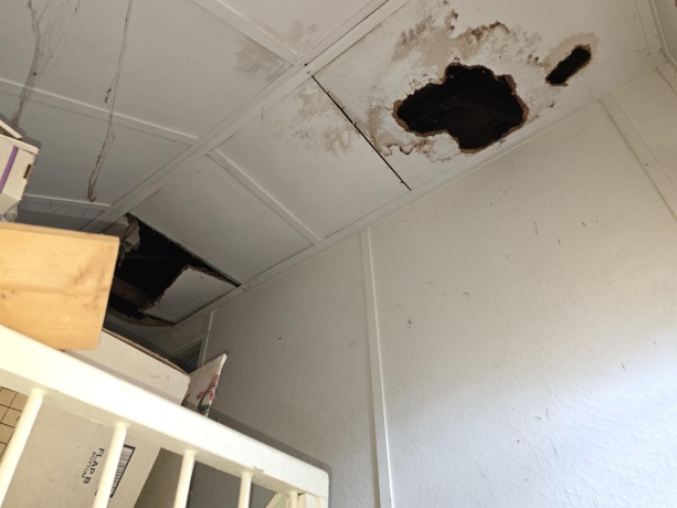 19 Pershing, FREEPORT, Illinois 61032, 3 Bedrooms Bedrooms, ,2 BathroomsBathrooms,House,For Sale,Pershing,202506565