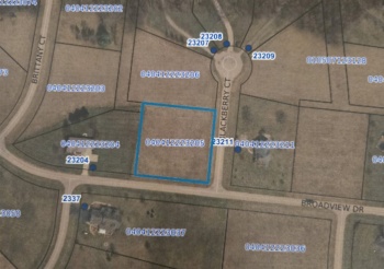 23-205 Blackberry, LAKE CARROLL, Illinois 61046, ,Land,For Sale,Blackberry,202506587