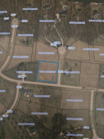 23-205 Blackberry, LAKE CARROLL, Illinois 61046, ,Land,For Sale,Blackberry,202506587