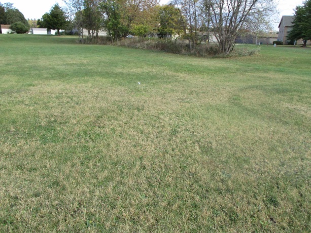 1820 Yellow Creek, FREEPORT, Illinois 61032, ,Land,For Sale,Yellow Creek,202506589