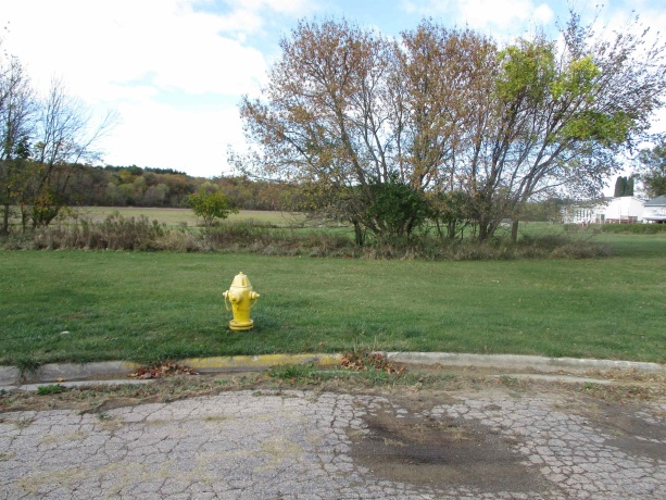 1820 Yellow Creek, FREEPORT, Illinois 61032, ,Land,For Sale,Yellow Creek,202506589