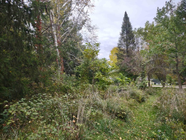 3349 Mill, CHERRY VALLEY, Illinois 61016, ,Land,For Sale,Mill,202506595