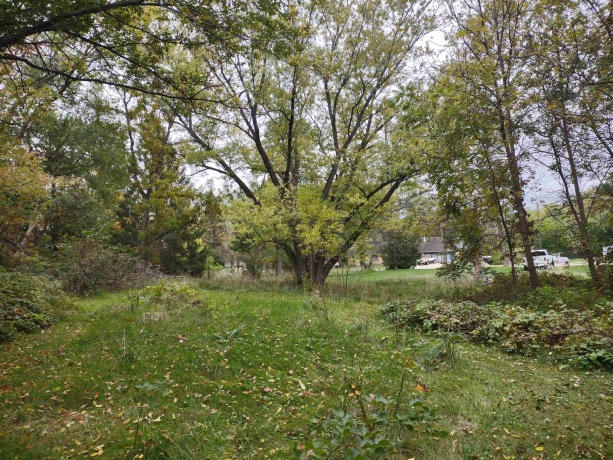 3349 Mill, CHERRY VALLEY, Illinois 61016, ,Land,For Sale,Mill,202506595